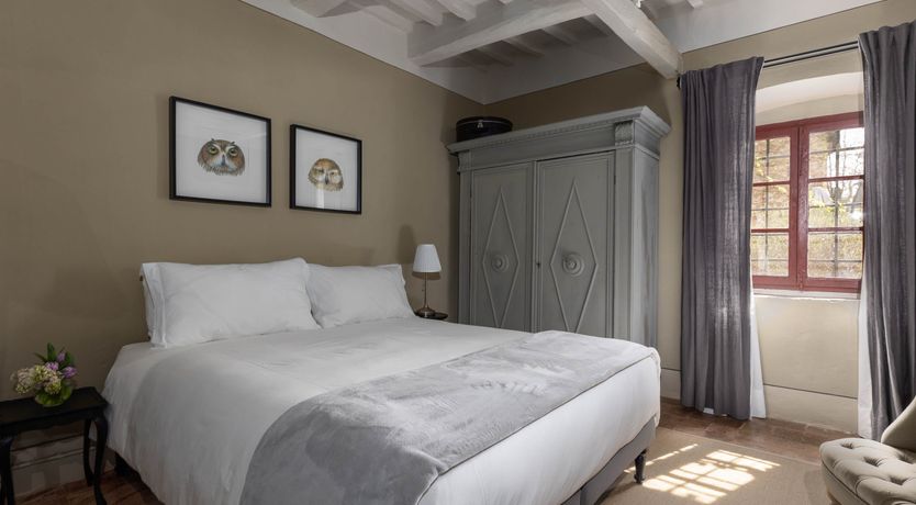 Photo of Vintage Vines