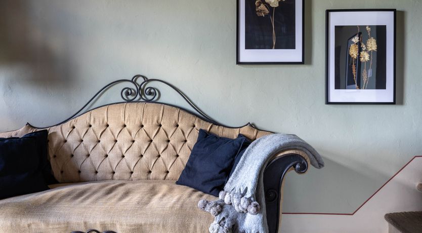 Photo of Vintage Vines