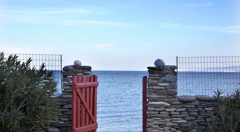 Photo of Harmony Scarlet