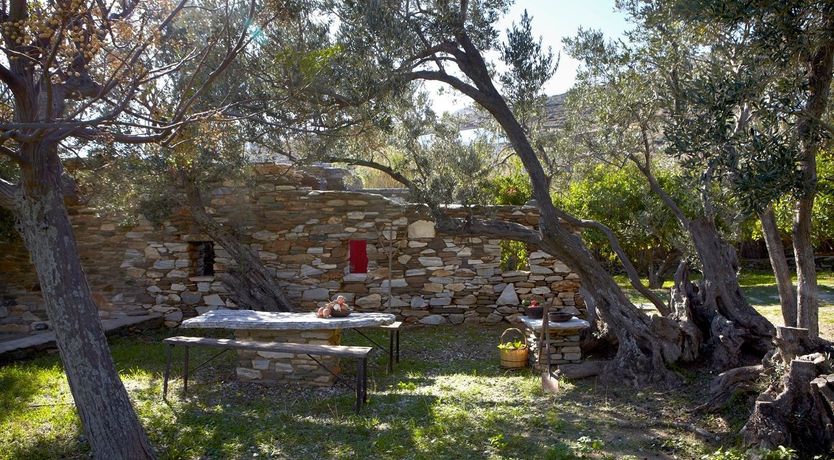 Photo of Harmony Scarlet