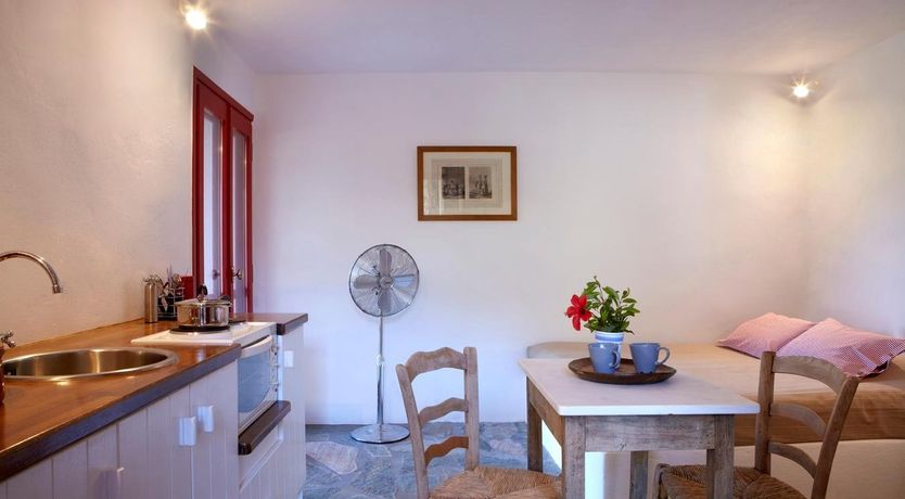 Photo of Harmony Scarlet