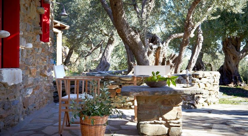 Photo of Harmony Scarlet