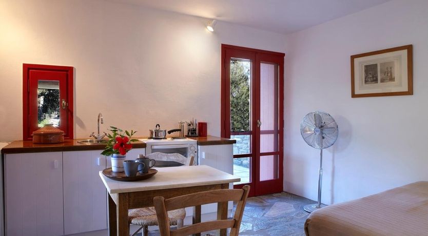 Photo of Harmony Scarlet