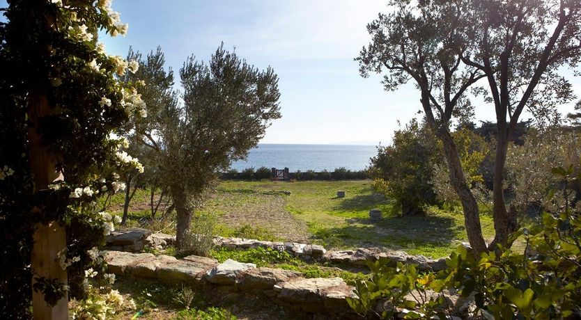 Photo of Harmony Scarlet