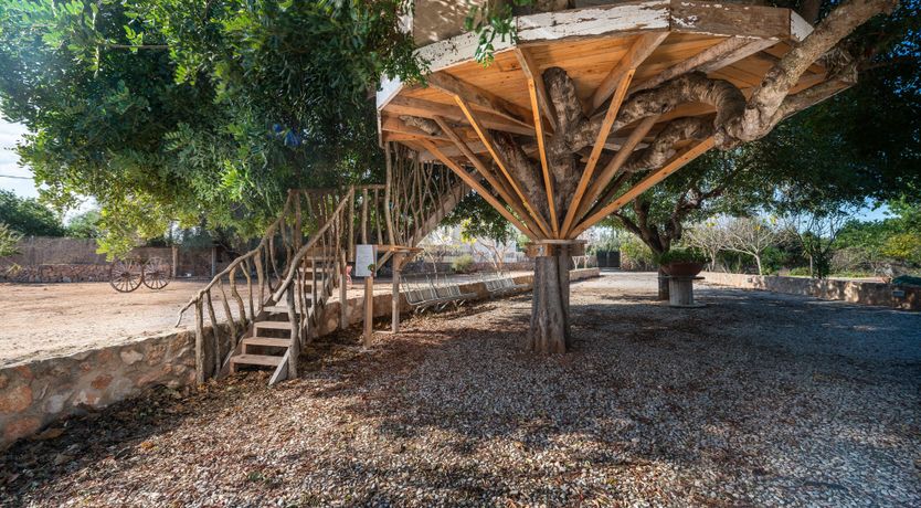 Photo of Camino del Sol