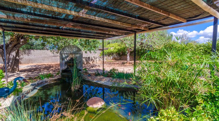 Photo of Camino del Sol