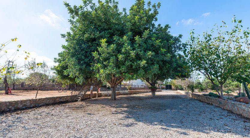 Photo of Camino del Sol