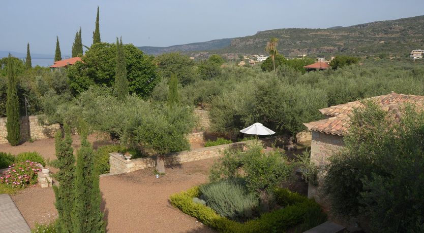 Photo of Identical Twins