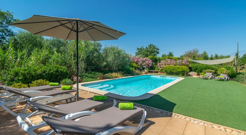 Photo of Mallorcan Vines