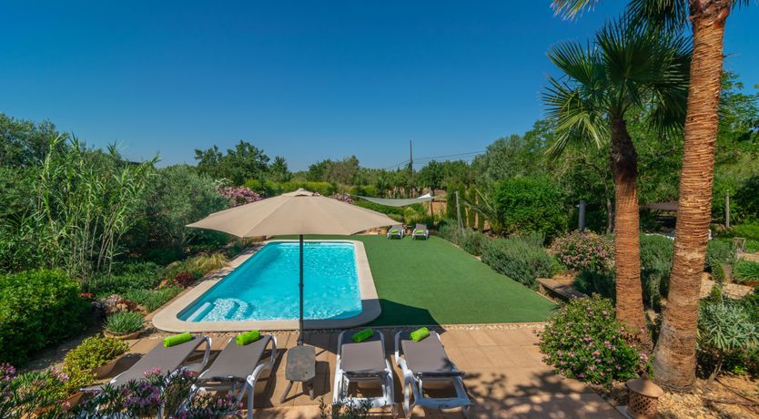 Photo of Mallorcan Vines