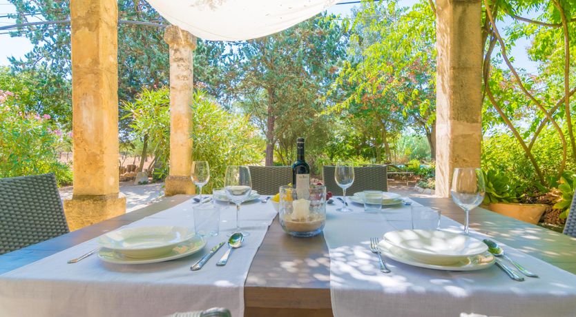 Photo of Mallorcan Vines