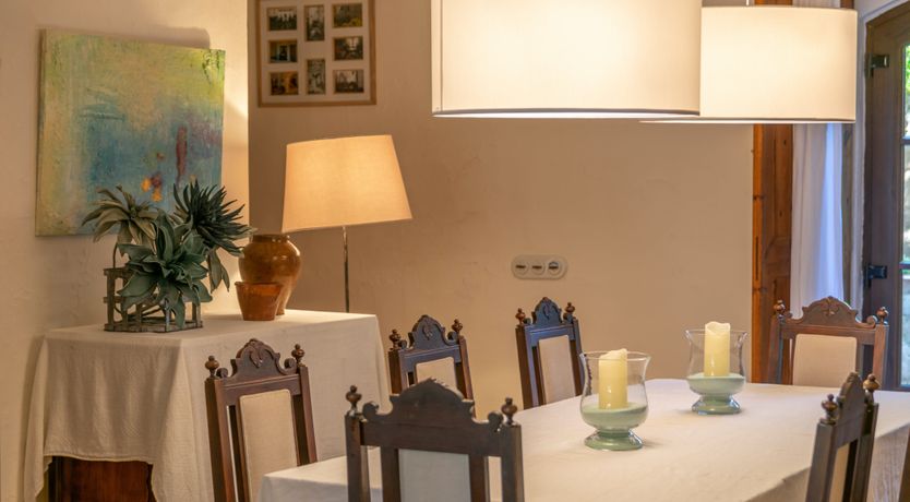 Photo of Mallorcan Vines