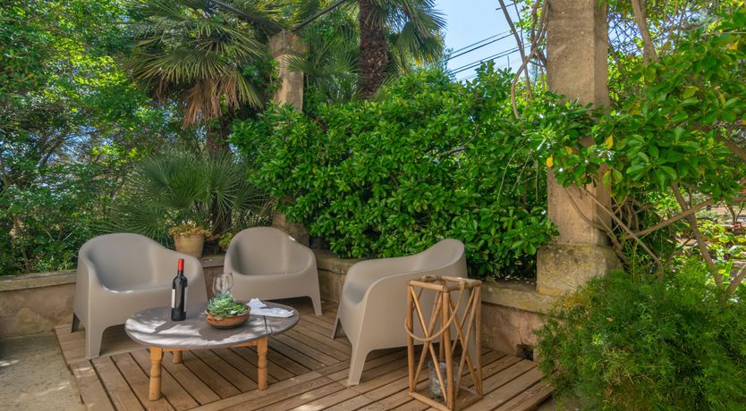 Photo of Mallorcan Vines