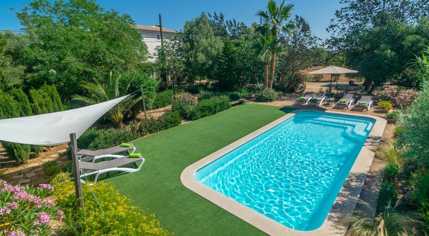 Photo of Mallorcan Vines