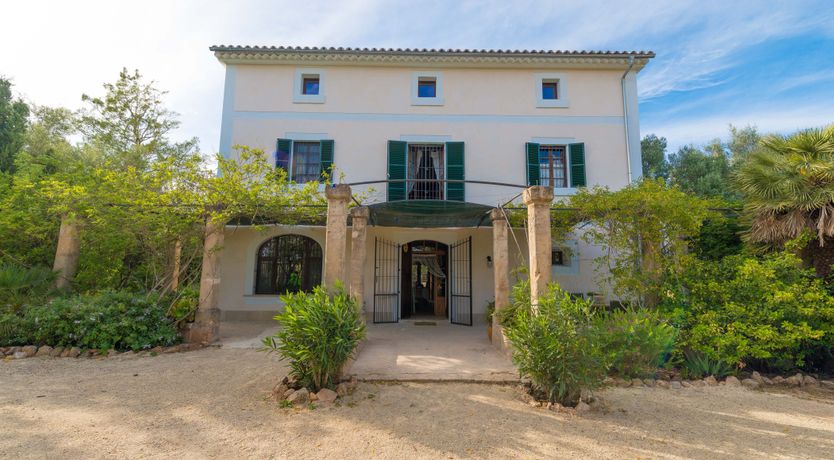 Photo of Mallorcan Vines