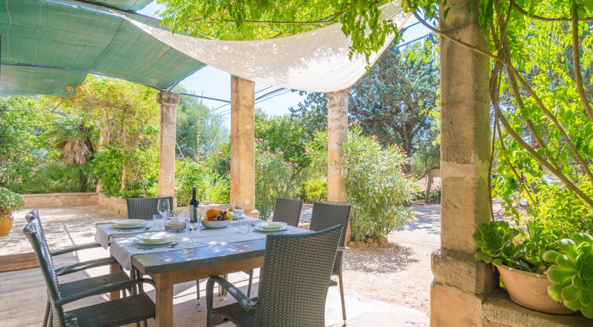 Photo of Mallorcan Vines