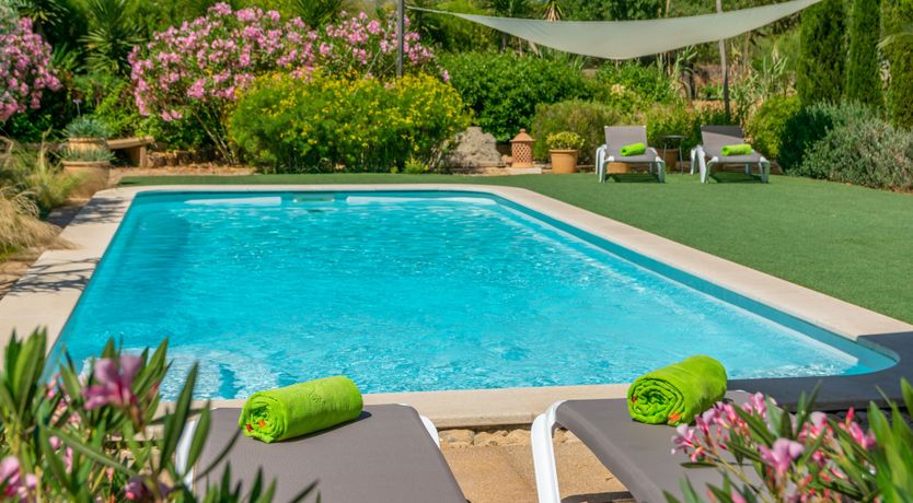 Photo of Mallorcan Vines