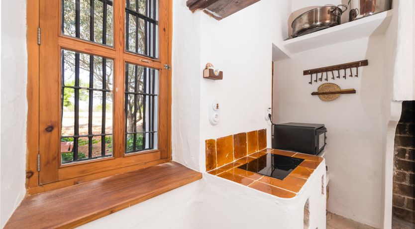 Photo of Mallorcan Vines