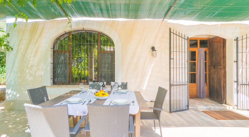 Photo of Mallorcan Vines