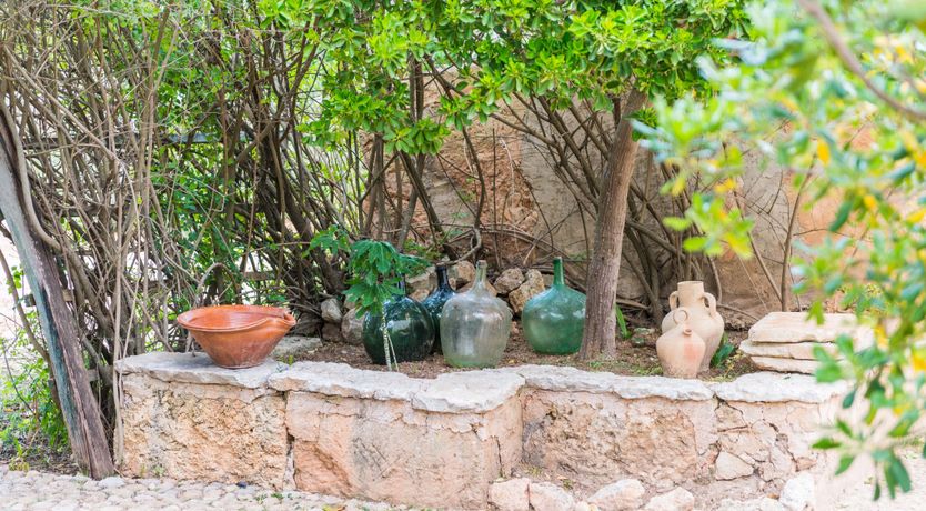 Photo of Mallorcan Vines