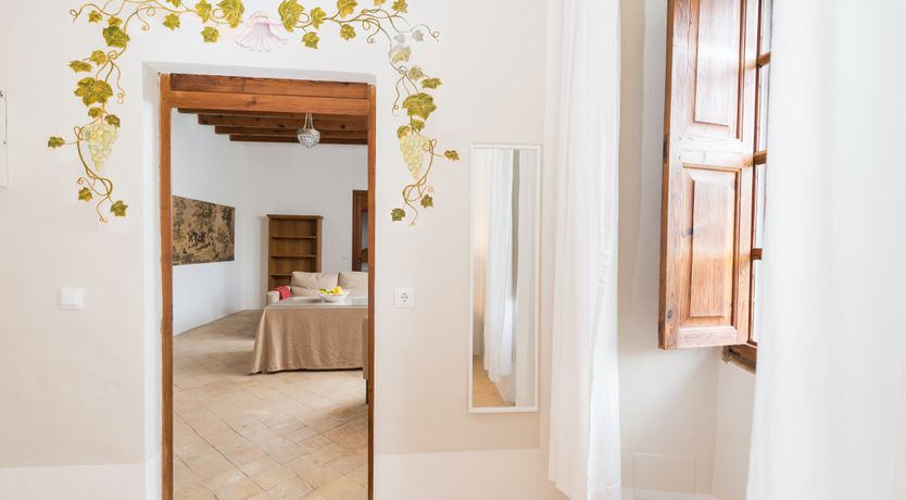 Photo of Mallorcan Vines