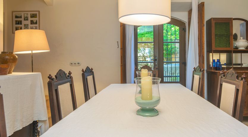 Photo of Mallorcan Vines