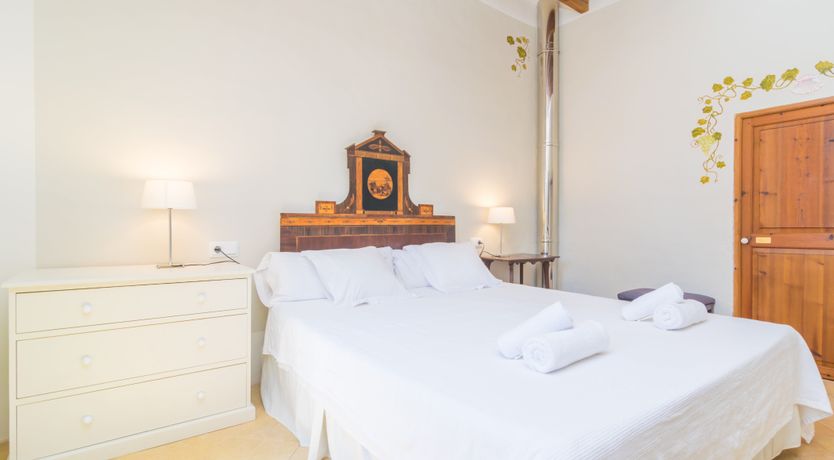 Photo of Mallorcan Vines