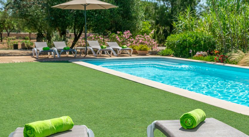 Photo of Mallorcan Vines