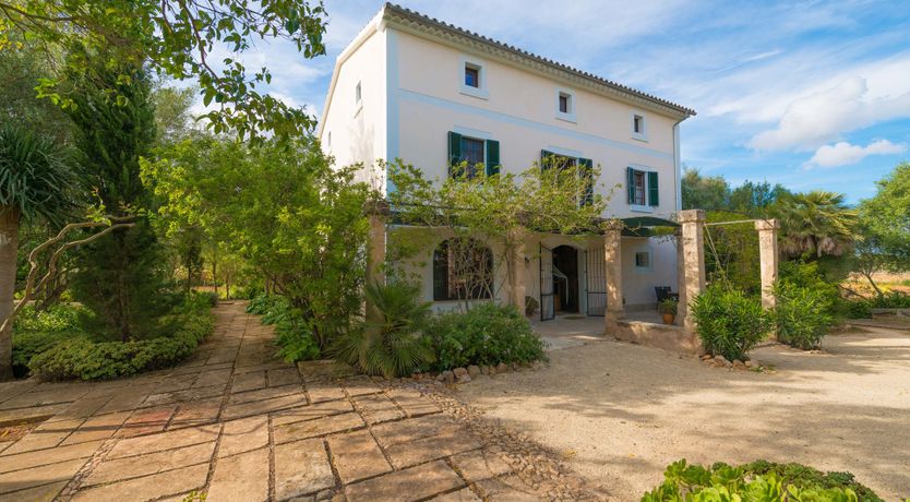 Photo of Mallorcan Vines