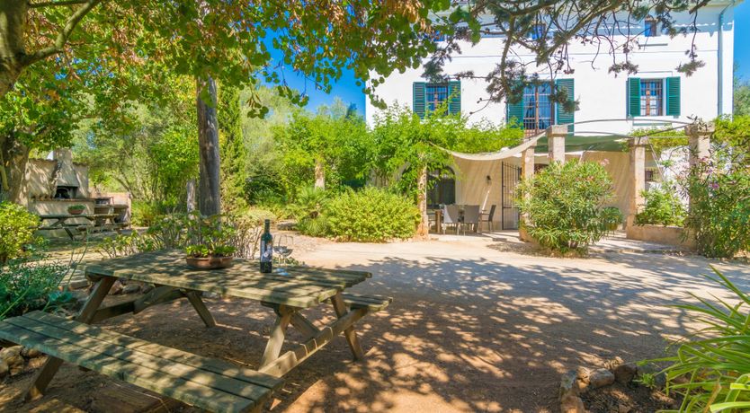 Photo of Mallorcan Vines