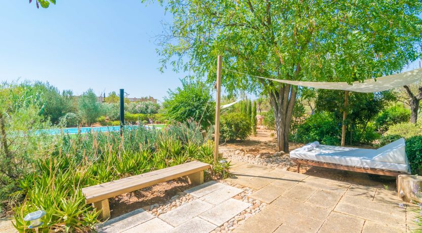 Photo of Mallorcan Vines