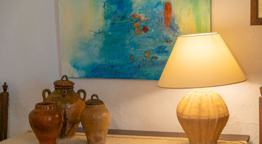 Photo of Mallorcan Vines