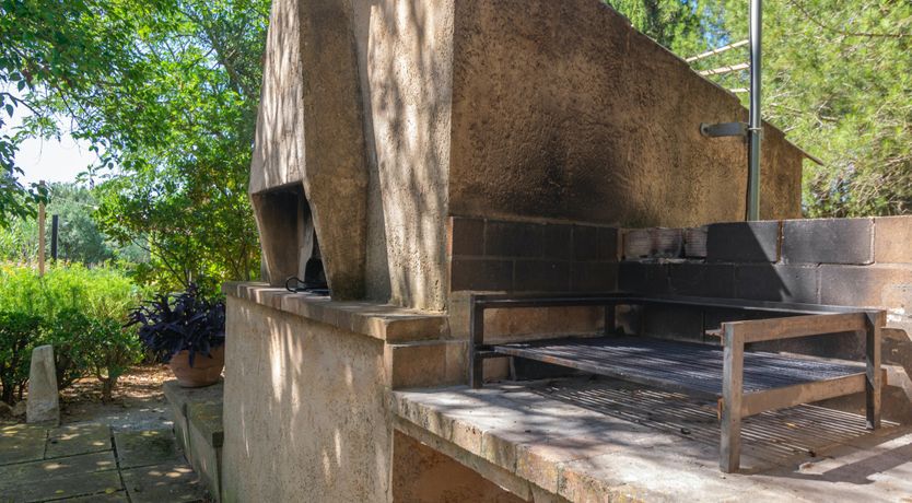 Photo of Mallorcan Vines