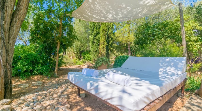 Photo of Mallorcan Vines