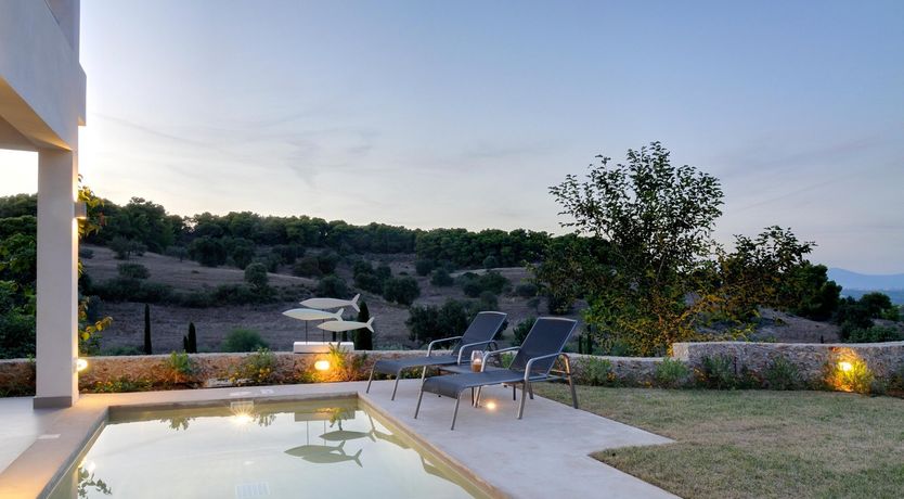 Photo of Among The Vines