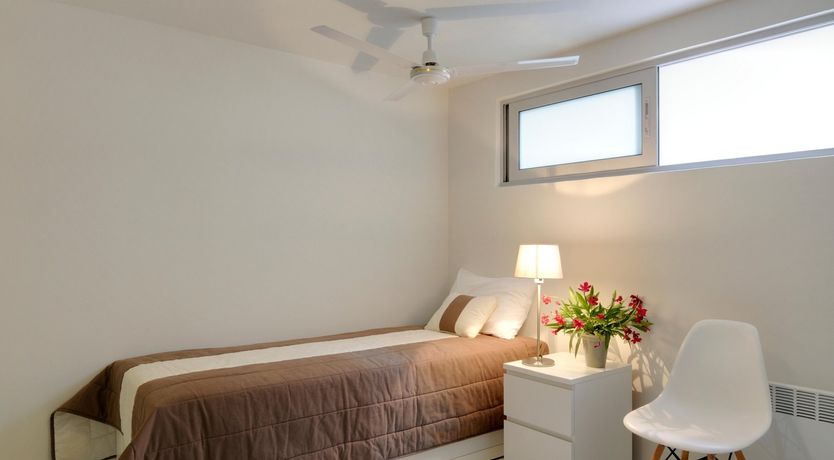 Photo of Among The Vines