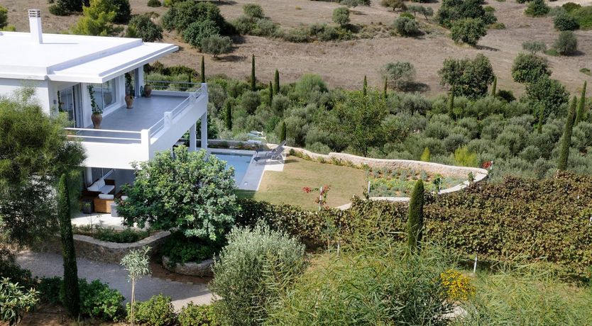 Photo of Among The Vines