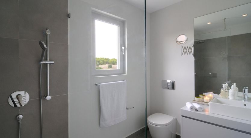 Photo of Among The Vines