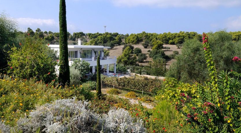 Photo of Among The Vines