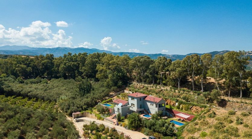 Photo of Avocado Abode