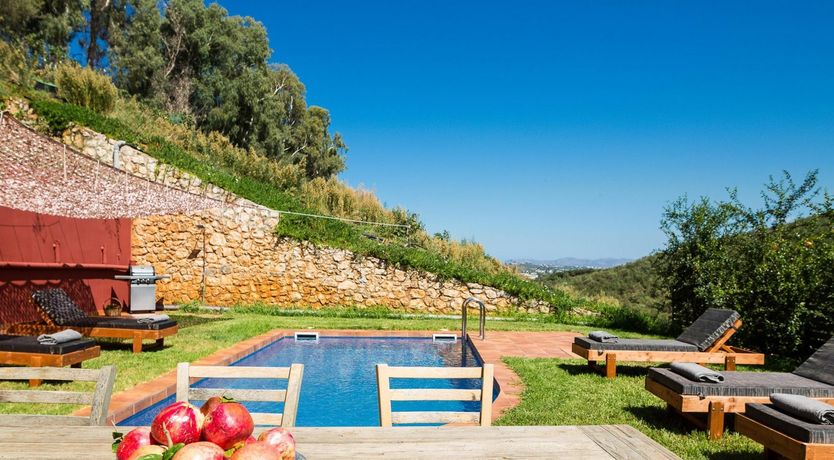 Photo of Avocado Abode