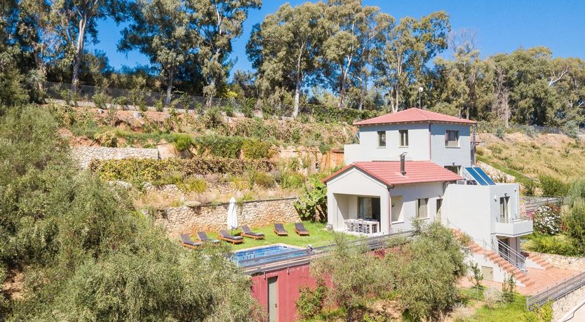 Photo of Avocado Abode