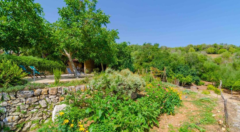 Photo of Sunshine Shutters