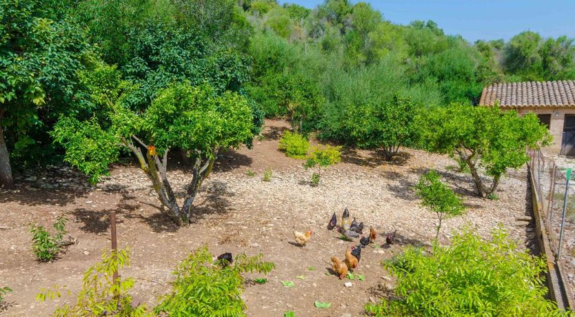 Photo of Sunshine Shutters