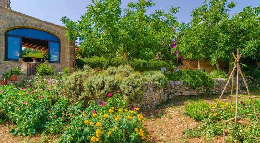 Photo of Sunshine Shutters