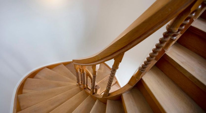 Photo of Goldfinch Glint