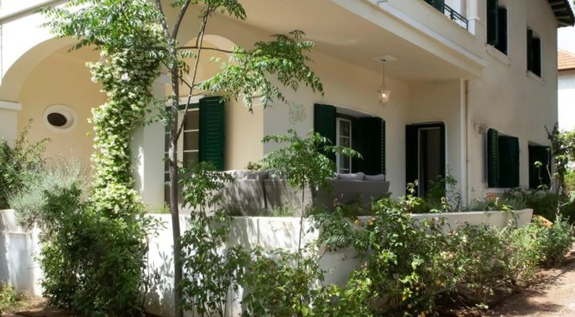 Photo of Goldfinch Glint