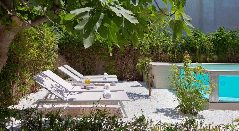 Photo of Goldfinch Glint