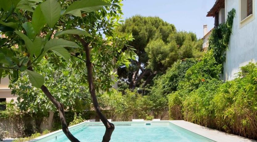 Photo of Goldfinch Glint