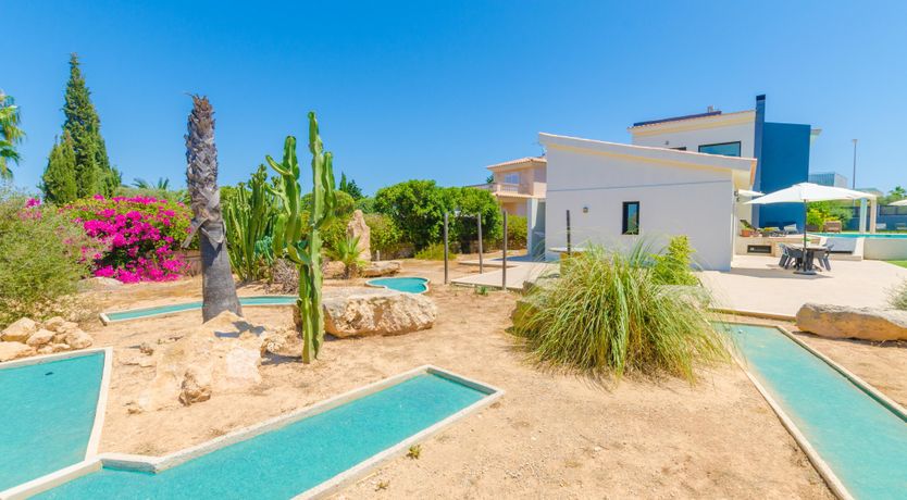 Photo of On Eagle's Wings